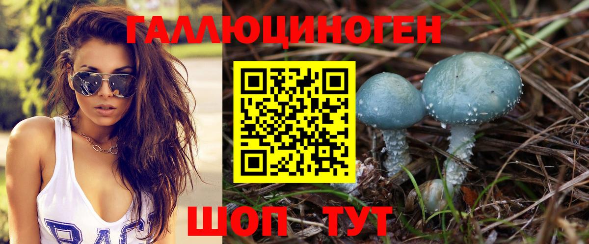 Галлюциногенные грибы Cubensis  Вход с VPN  Иваново 